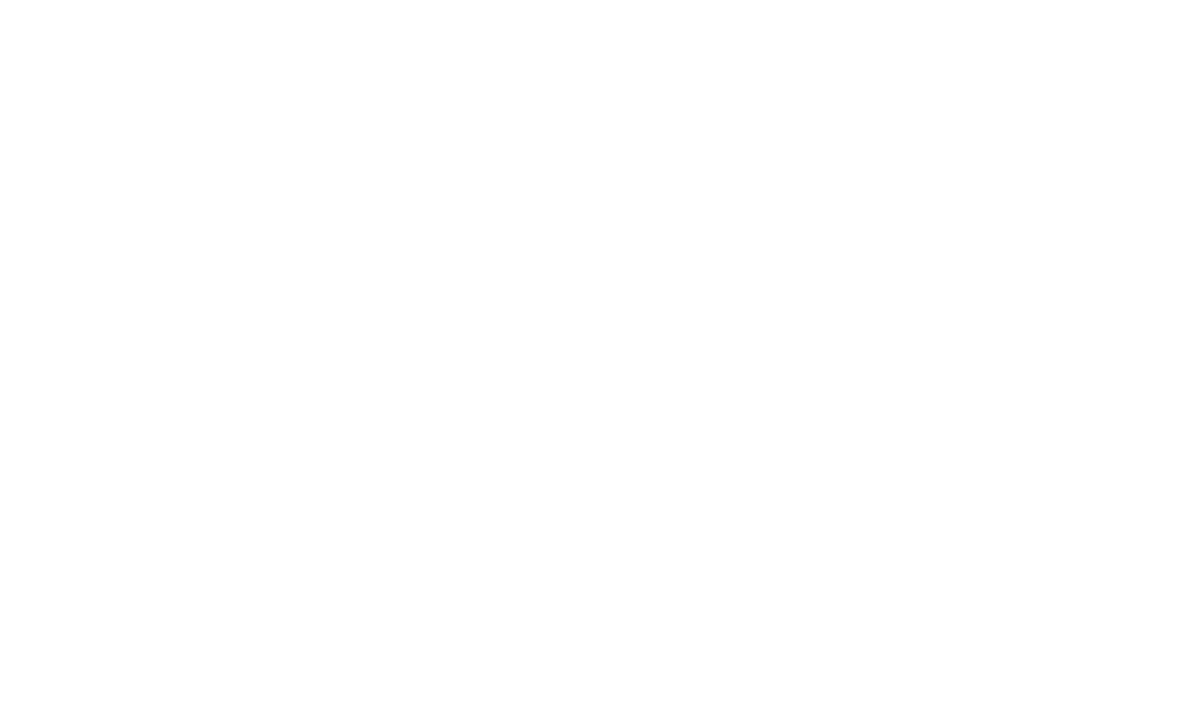 SAI SALGI